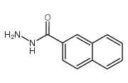 2-萘肼