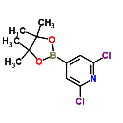 2,6-二氯吡啶-4-硼酸频哪醇酯
