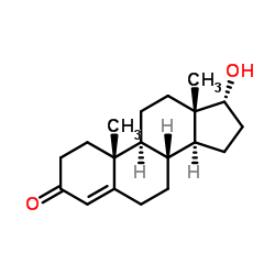 表睾酮