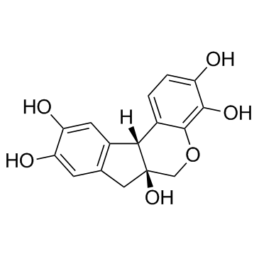 苏木精