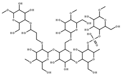 羟丙基二淀粉磷酸酯