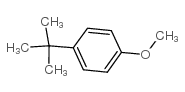 4-叔丁基茴香醚