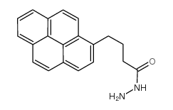 1-芘丁酰肼