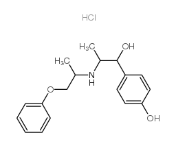 盐酸苯氧丙酚胺