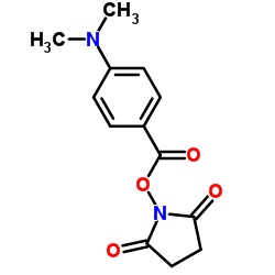 4-(二甲胺基)苯甲酸 N-羟基琥珀酰亚胺酯