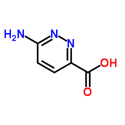 6-氨基哒嗪-3-甲酸