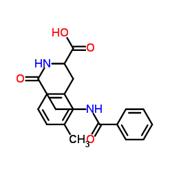 琼脂糖凝胶CL-4B