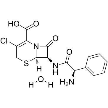 头孢克洛一水合物