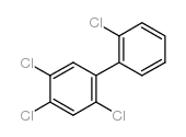 多氯联苯