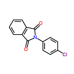 N-(4-氯苯基)酞亚酸