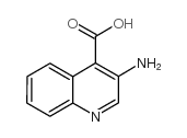 3-氨基喹啉-4-羧酸