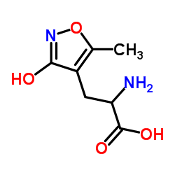 (R,S)-Α-氨基-3-羟基-5-甲基-4-异恶唑丙酸