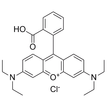 罗丹明b