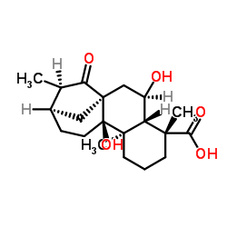 等效-6,9-二羟基-15-氧代-16-贝壳杉烯-19-酸