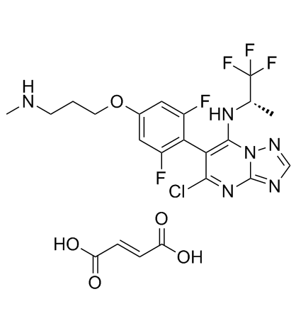 Cevipabulin富马酸盐