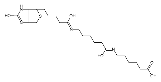 Biotin-C5-amino-C5-amino