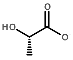 L-乳酸脱氢酶