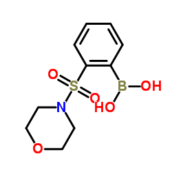 2-吗啉磺酰基苯硼酸