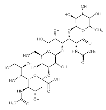 唾液酸酶图片