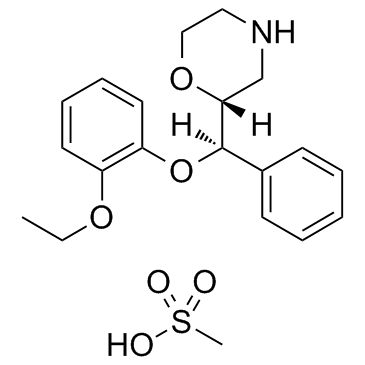 甲磺酸瑞波西汀